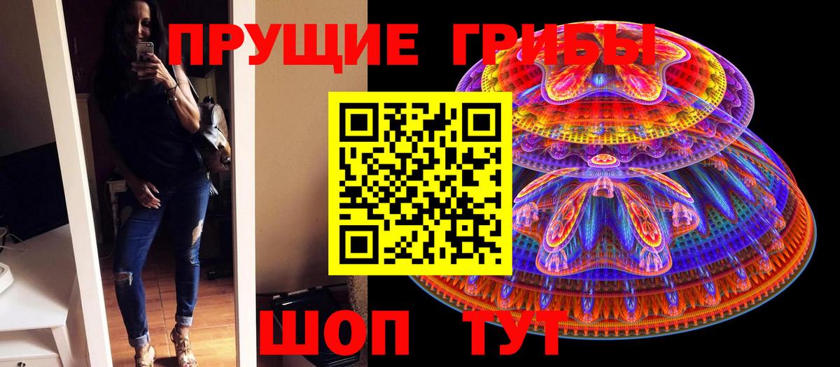 Псилоцибиновые грибы Psilocybine cubensis Луховицы